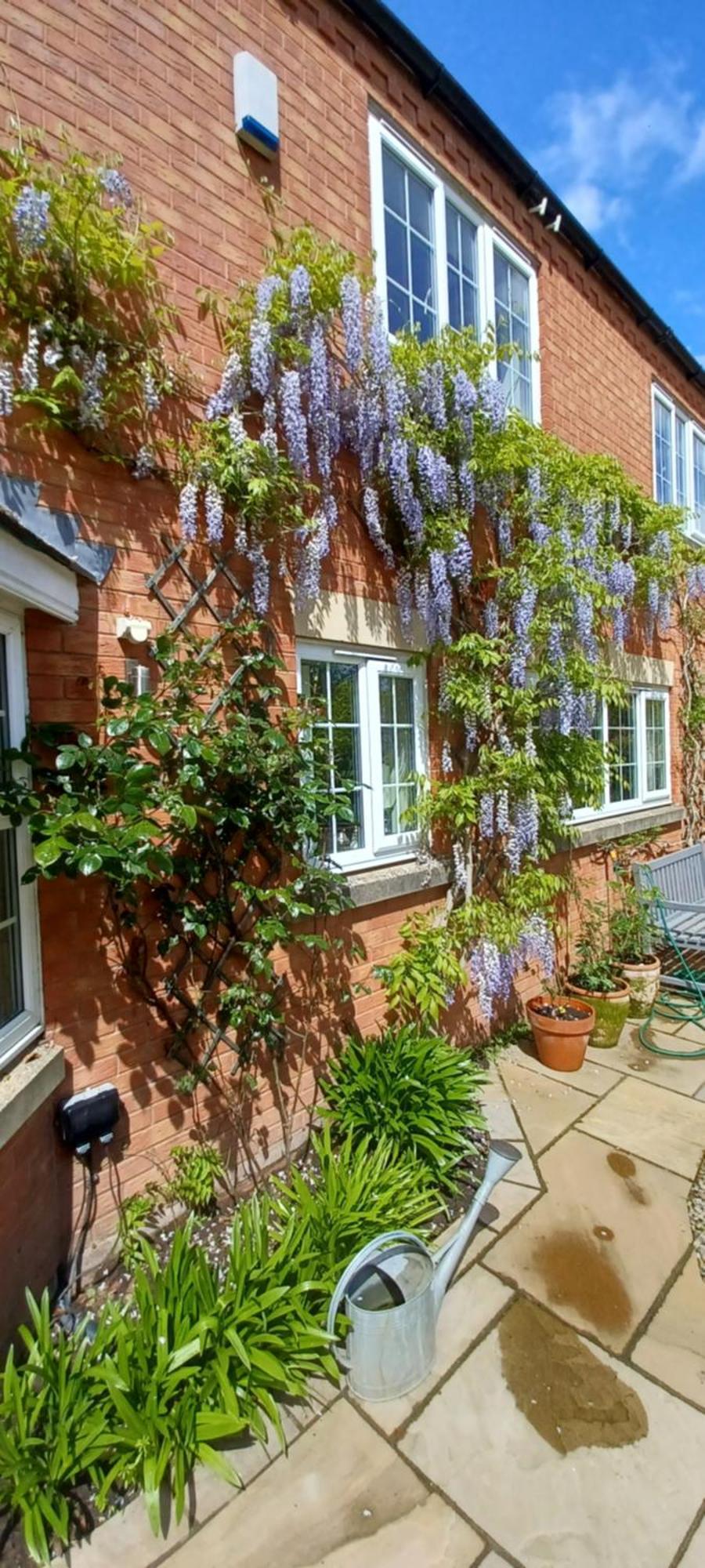 Harlequin B&B Ledbury Eksteriør bilde
